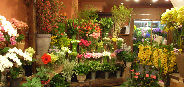 錦糸町駅でおすすめのお花屋さんまとめ 季節のお花からアレンジメントまで Pathee パシー